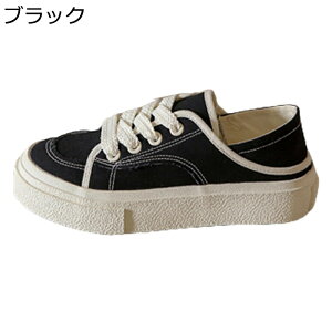  Xj[J[ LpX zCg n r fB[X y g3.5cmUP ɂ _炩 E炭炭 vbgtH[ ʋ  i EBY lGKp Oo [Jbg 