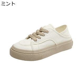  Xj[J[ LpX zCg n r fB[X y g3.5cmUP ɂ _炩 E炭炭 vbgtH[ ʋ  i EBY lGKp Oo [Jbg 