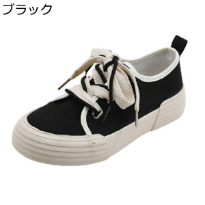 j[J[ LoX ubN  [Jbg L r fB[X y g3cmUP EȒP Ȑ ʋ JWA i EBY tďH s n ₷ ʋC ɂ