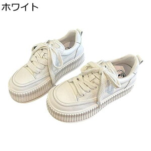  Xj[J[ g5cmUP RtH[gV[Y fB[X [Jbg [XAbv n WMO h \tg E₷ L r  i ʋ o ʔNKp