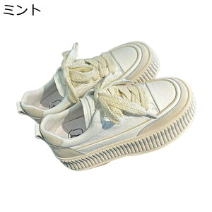  Xj[J[ g5cmUP RtH[gV[Y fB[X [Jbg [XAbv n WMO h \tg E₷ L r  i ʋ o ʔNKp