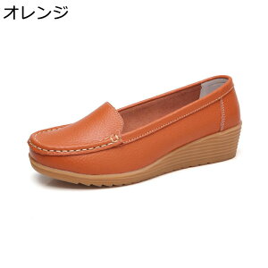 [t@[ JV U[ {v EFbW4cm h fB[X }}V[Y pvX ؂ _炩 ₷ n Vv t  H ~ t@bV JWA IV