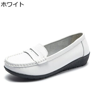 [t@[ }}V[Y {v vC 傫TCY U[ JV D^ pvX tbgV[Y tH[} fB[X 풅pɂ Vv _炩 芴 p lG