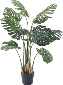 J O[ tFCNO[ Xe W56×D56×H100 O[ GRN-11 4985155208098  t GRO[ TgC zECVE ^ 傫t ϗtA lHϗtA O[ 