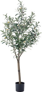 J O[ tFCNO[ I[u W44×D44×H152 O[ GRN-17 4985155208159  t GRO[ I[u w̍ t  n   ϗtA lHϗtA O[