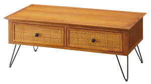 J e[u Z^[e[u W100×D50×H40 uE GUY-371 4985155220113 \t@[e[u [t o ^  X`[r ubN  ؚȋr VRf lp XNGA k  