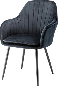 J _CjO`FA `FA W55×D58×H84.5×SH46 ubN|O[ TOE-122BK 4985155221134 ֎q CX lp I| ݍ xAn G  H hbT[ fXN p[\i`FA ؂