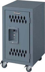 J Xg[W bN X`[`FXgS W30.5×D38.5×H60 O[|AC{[ TPN-40GY 4985155204366 [ bJ[ LX^[t `FXg 2i ݃J[ }`bJ[ l[v[g B