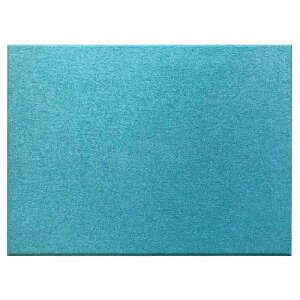 �z���� �z���p�l�� �t�F�����m�� Felmenon �G�N�V�[�h EX�V���[�Y 8060 80cm 60cm ����11mm EX-8060C �z �t�F���g �� �h�� �C���e���A �z�� ���R �����΍� �h���� �t�F���g�{�[�h �z���{�[�h �ȒP DIY �O��