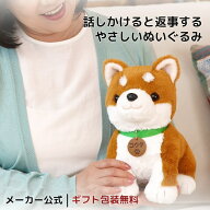 しゃべる犬 ロボット犬 おしゃべり犬 柴犬ぬいぐるみ 高齢者 話し相手 しばいぬコウタ 会話 一人暮らし …