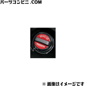 TOYOTA g^  t[G^NLbvGu 08189-B5010 / CY / sNVXo