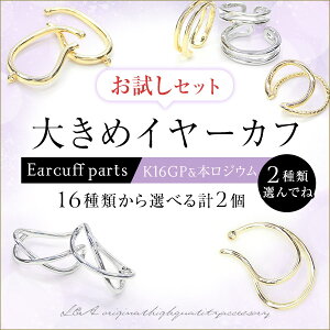  IŌv2 C[Jt IׂZbg Zbg 傫߃C[JtS16ނ炨D2Iׂ K16GP {WE C[Jtp[c CJt C[JtX CO L&A 