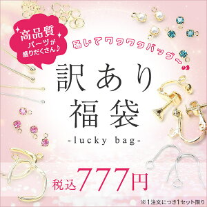 󂠂蕟  Zbg Lbg A\[g 4000~ 11Zbg K16GP {WE i ㎿ ɗD Kp S COp[c C[Jt sAXp[c `F