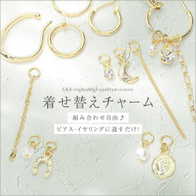 1パック 着せ替えチャーム フープ金具に通すだけ 何百通りにもアレンジ自在 取り外し 付け外し 馬蹄 ホースシュー コイン 雪の結晶 月 三日月 ムーン チェーン キヘイ あずき フィガロ フープイヤリング フープピアス イヤーカフ K16GP 本ロジウム