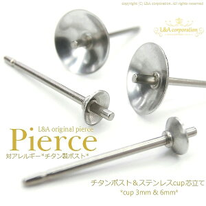 Ԍl 2yA T[WJXeXsAXp[c AM[ΉsAXp[c `^|XgXeXێMJbvtcăsAX3mm6mmcup sAX p[c f