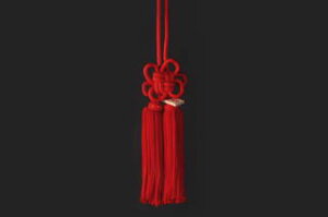 JUNCTION PRODUCE�i�W�����N�V�����v���f���[�X�j �ӂ��@�e���с@�ԁ@��i�S����48cm)