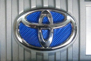 g^ vEX }WJJ[{ GWJo[Gu ubN ZVW30n vEX(2009/5`)