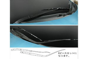 OH RVR }WJJ[{ Cp[A[ tg Vo[ GA3W RVR(2010/2`)