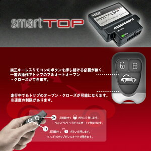 [J[ۏؕt Ki SMART TOP X}[ggbv 2002- ZfXExc SL (R230)