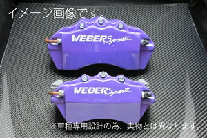 WEBERSPORTS(EF[o[X|[c) u[L Lp[ Jo[ Y [NX Lp[Jo[ tg p[v ML21S [NX ^[{ԗp