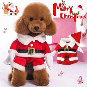 ybg NX}X  L pT^RXv Xqt T^N[Xɕϐg 񂿂̃NX}Xp[eBpRXv