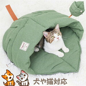 L xbh  ybgxbh NbV LbgnEX 􂦂 L Lp\t@[ ׂ p\t@[ Lxbh ӂӂ _炩 Lp ^