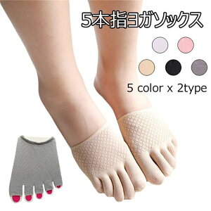 3g 5{w\bNX fB[X K\bNX t  X|[c tbgJo[ ~ߕt  tBbglX _X X|[c t  H 2023NHV