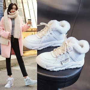 Xm[u[c 3.5cmq[ ɂC [gu[c fB[X Xj[J[  H ~  zCg {A t@[ ₷ Vv JWA g