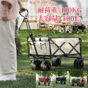 L[S AEghAS L[S L[J[g ܂肽 S L[J[g  ω׏d100kg e 100L