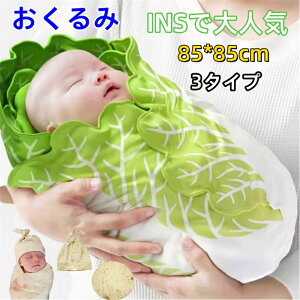    Xqt  Mtg Ԃ V xr[ObY oYj  Lxc  v[g ʔ ؂