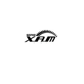 X.A.M C6507-17 530-17T スプロケット　C6507-17