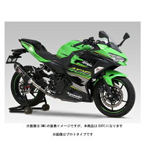 楽天市場】r-77sサイクロン カーボンエンド ninja250の通販