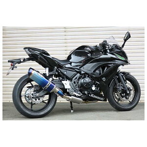 BEET Ninja650 ABS }t[ NASSERT Evolution TypeII tGL][Xg}t[ u[`^ Ninja650 ABS('17)/Z650 ABS('17) 0223-KD7-BL