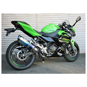 BEET Ninja250 }t[ NASSERT Evolution Type2 XbvI}t[[u[`^TCT[dl]Ninja250('18) 0228-KE5-BL