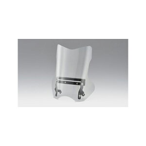 y1129oׁzLW} VXg[250 XN[ Ahx`[^Cv 305-474