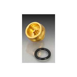 �L�^�R �I�C���t�B���[�L���b�v �^�C�v1[�S�[���h] �����L�[125/�O���� 307-1300870