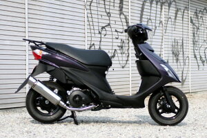 ACY AhXV125i'09`jp@NX}t[ 313-007