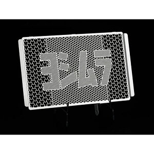 V Ninja250R 08-12 WG^[RAveN^[ 454-225-0000