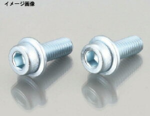 �y4��21���o�ׁz�L�^�R F�c�LCAP�{���g(U)6X15 2PC�@0900-062-40001