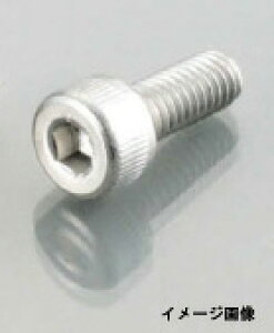 y1128oׁzL^R CAP{g(SUS) 10X251PC@0900-100-10002