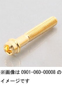 L^R KECON Pro@rrbh{g@M6×100/P1.0@lW 0901-060-00016