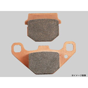 y1126oׁzfCgi AhXV100/KSR-1/KSR-2 S[fpbh(JC) 97163