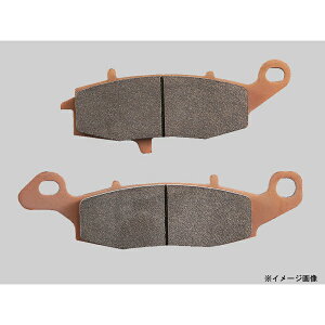 y1111oׁzfCgi W800/[t@[750RS/W650/W400 S[fpbh(JC) 97168