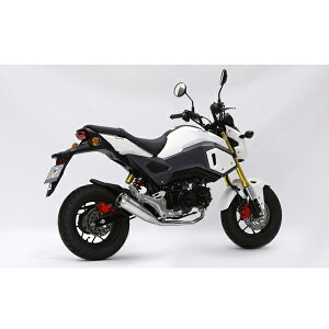 L 16O MEGAPHONE SUS 01810-H11N5-00