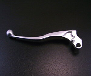 AZZU(AbY) GXgA250RS-LTD@250CC@(02)@o[@Vo[ AZ-021-SL