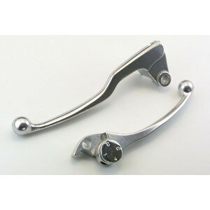 AZZU(AbY) G~l[^[250V@250CC@(98-01)@EZbgo[@Vo[ AZ-218-024-SL