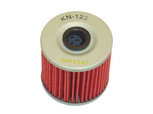 VK&N ICtB^[ 250TR@KN-123