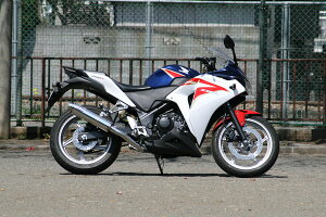 RPM CBR250R }t[ 80D-RAPTOR[XeX]@CBR250Rp@RPM6507D