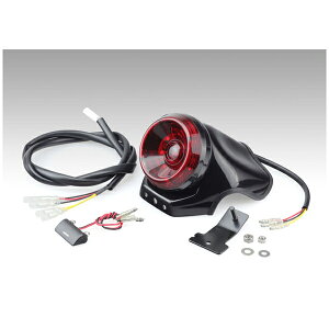 y1118oׁzLW} LEDRie[vLbg u250/ABSE500('17?'19) 218-4017