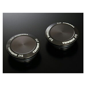 y1015oׁzV t[Lbv LTCY(2) Z900RS/CAFE('18) 570-269-5301